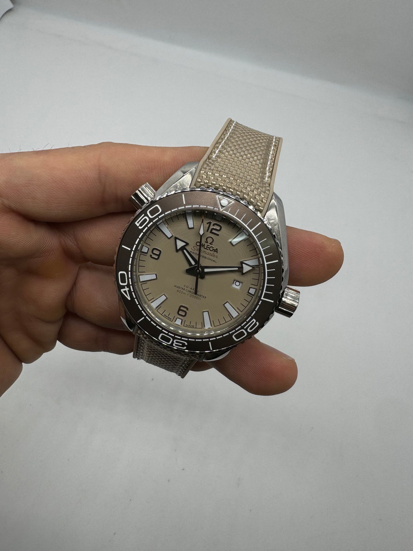 Omega Seamaster Planet Ocean