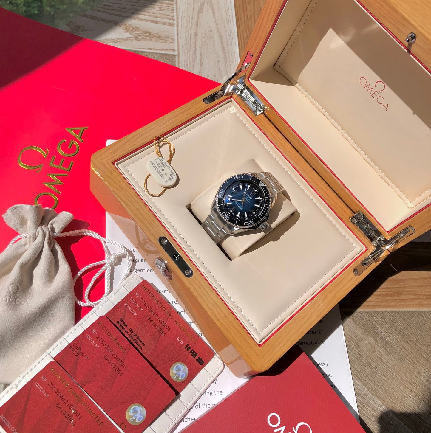 🌊🔥 Omega Seamaster Planet Ocean